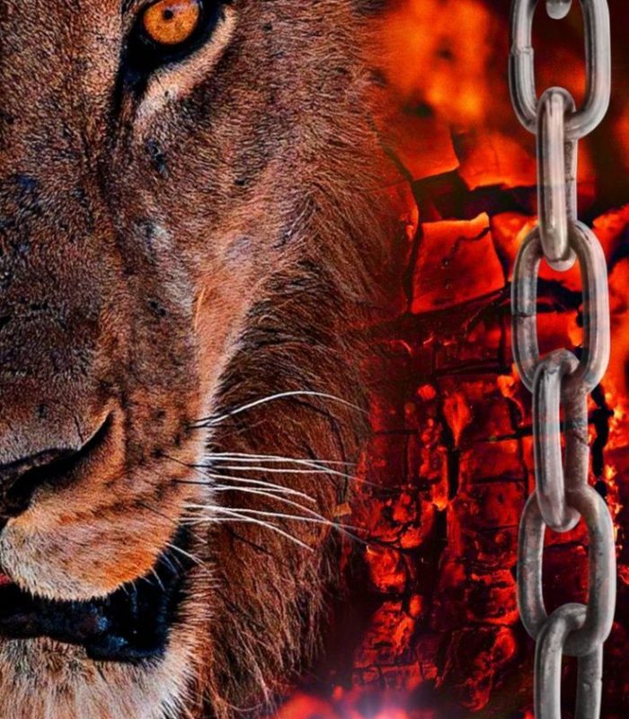 749910f21de3ca80b393f9097b198d6f